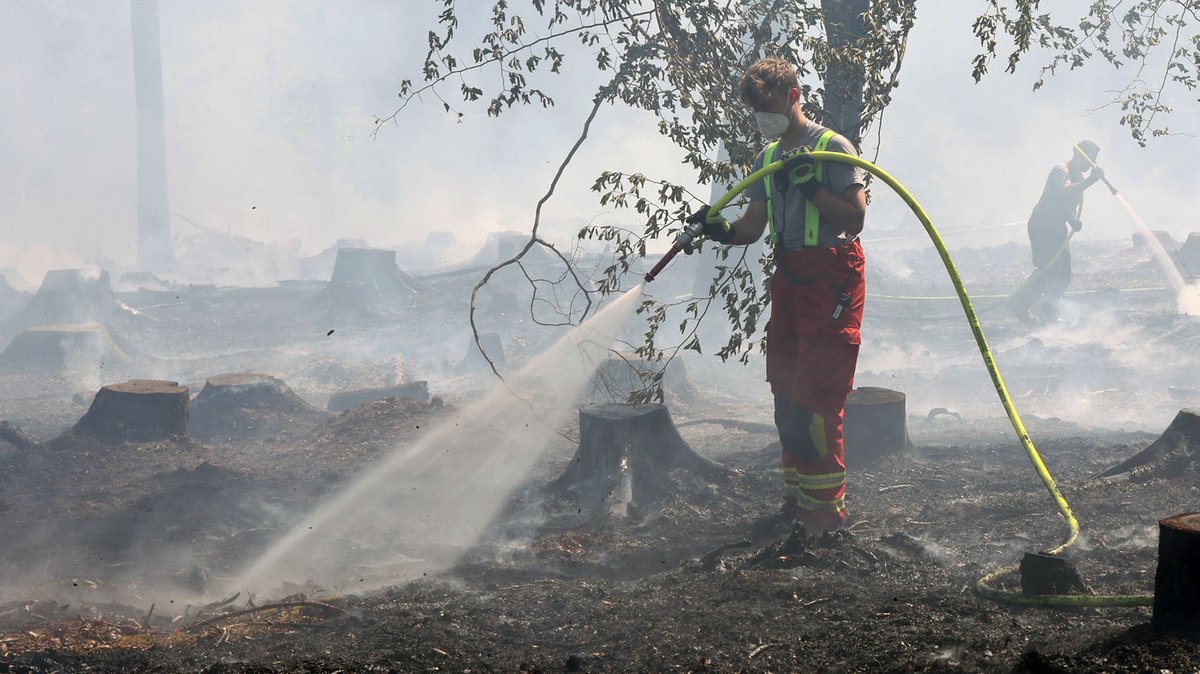 Brandstiftung: Waldbrände im Spessart vorsätzlich gelegt