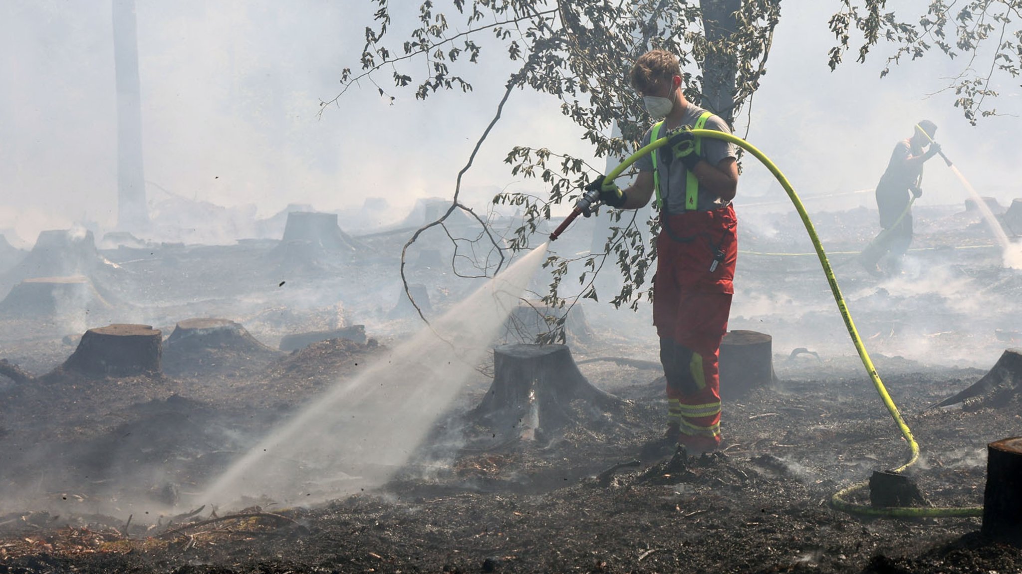 Brandstiftung: Waldbrände im Spessart vorsätzlich gelegt