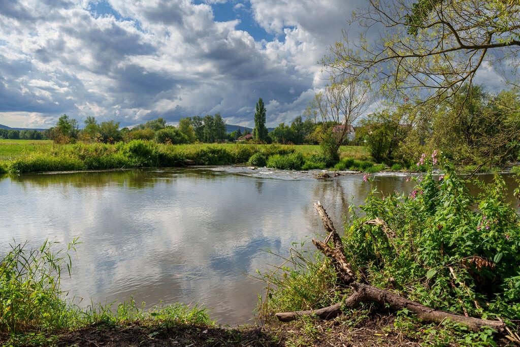 Die Fränkische Saale bei der Weinstadt Hammelburg im Landkreis Bad Kissingen.