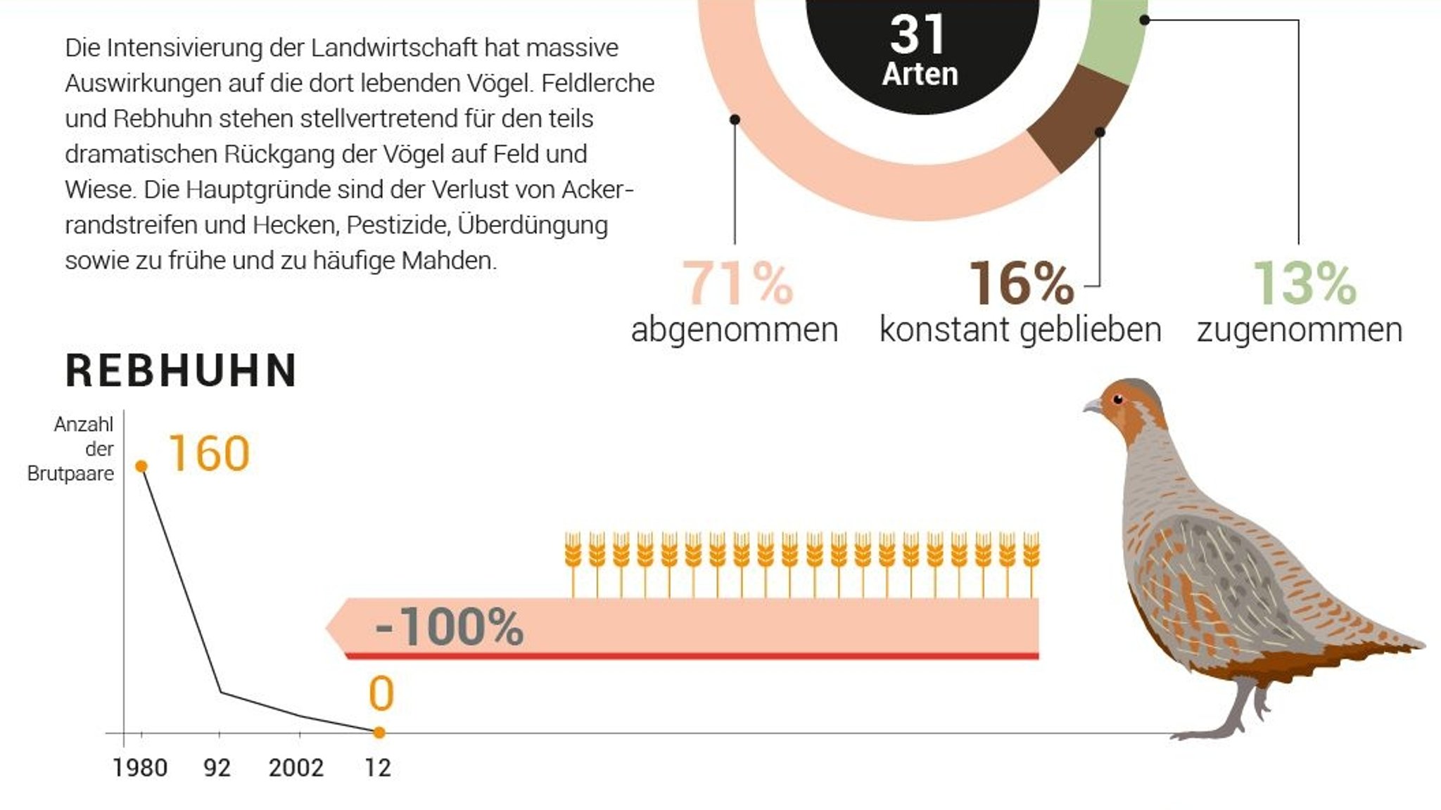 Auf die Feld- und Wiesenvögel wirkt sich besonders die intensivierte Landwirtschaft aus. Das Rebhuhn ist am Bodensee nicht mehr zu finden.