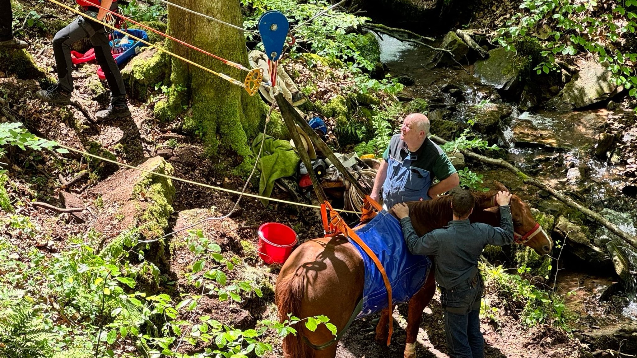 Mit einem mobilen Flaschenzug wurde das Pferd aus der Schlucht gehievt.