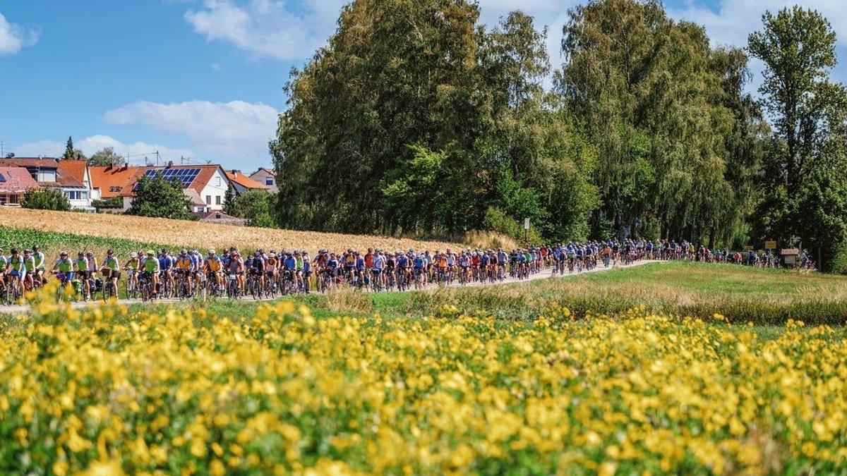 Viele Radfahrer auf einer Straße hinter einem blühenden Feld