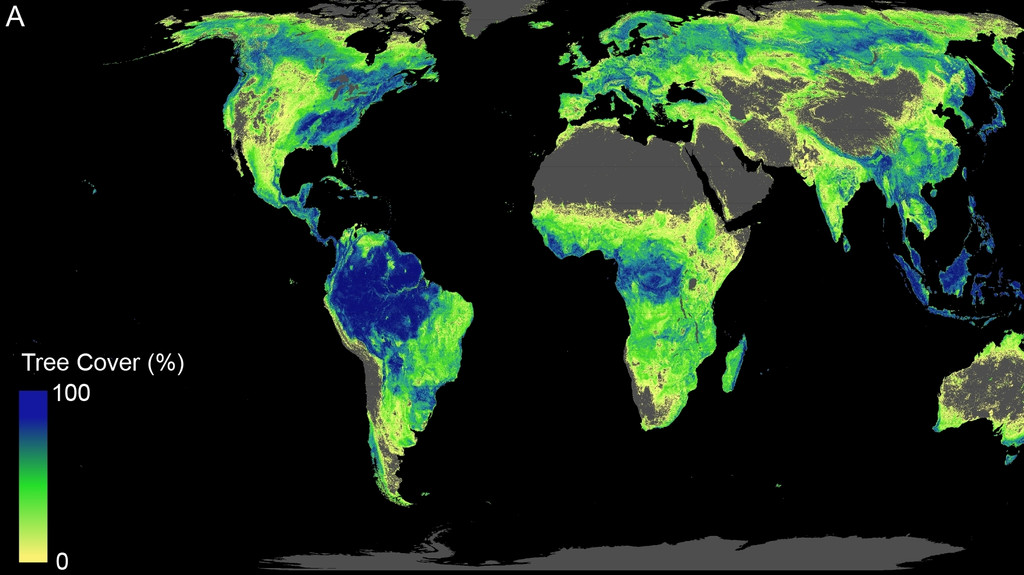 Weltkarte, Waldwuchs farbig markiert