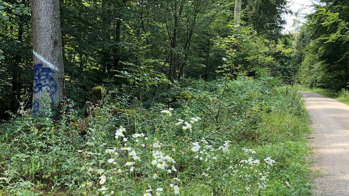 Sie sucht ihn landkreis altötting