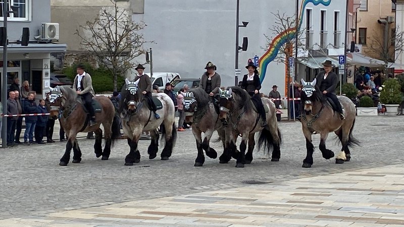 Fünf geschmückte Rösser mit ihren Reitern auf dem Regener Stadtplatz