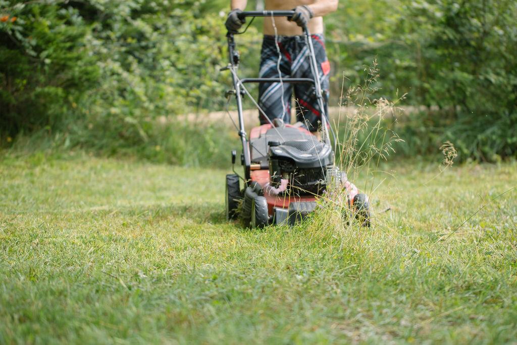 Eine Wiese wird gemäht.