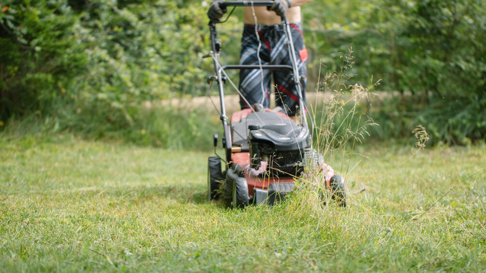 Eine Wiese wird gemäht.