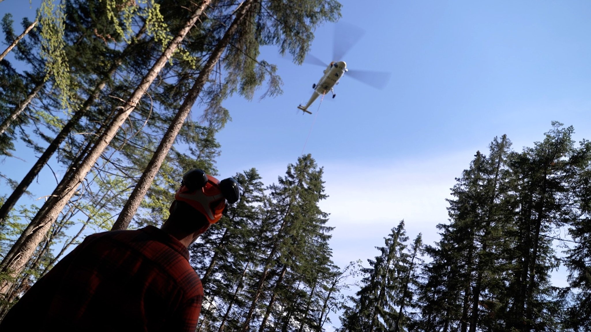 Der Helikopter steht tief über dem Gelände, auf dem vom Borkenkäfer befallene Fichtenstämme am Boden liegen und lässt eine Seilwinde herab. | Bild: BR / Ferdinand Spes Der Helikopter steht tief über dem Gelände, auf dem vom Borkenkäfer befallene Fichtenstämme am Boden liegen und lässt eine Seilwinde herab.