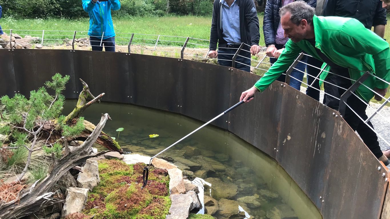 Umweltminister Thorsten Glauber mit einer Ringelnatter am Greifarm an einem der neuen Reptiliengehege