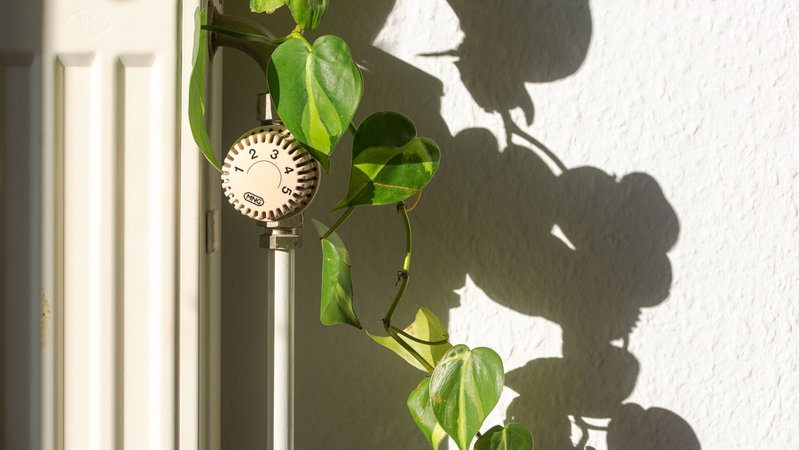 Zu sehen ist ein Heizkörper, auf dem eine Zimmerpflanze steht. | Bild: dpa-Bildfunk/Fernando Gutierrez-Juarez Zu sehen ist ein Heizkörper, auf dem eine Zimmerpflanze steht.