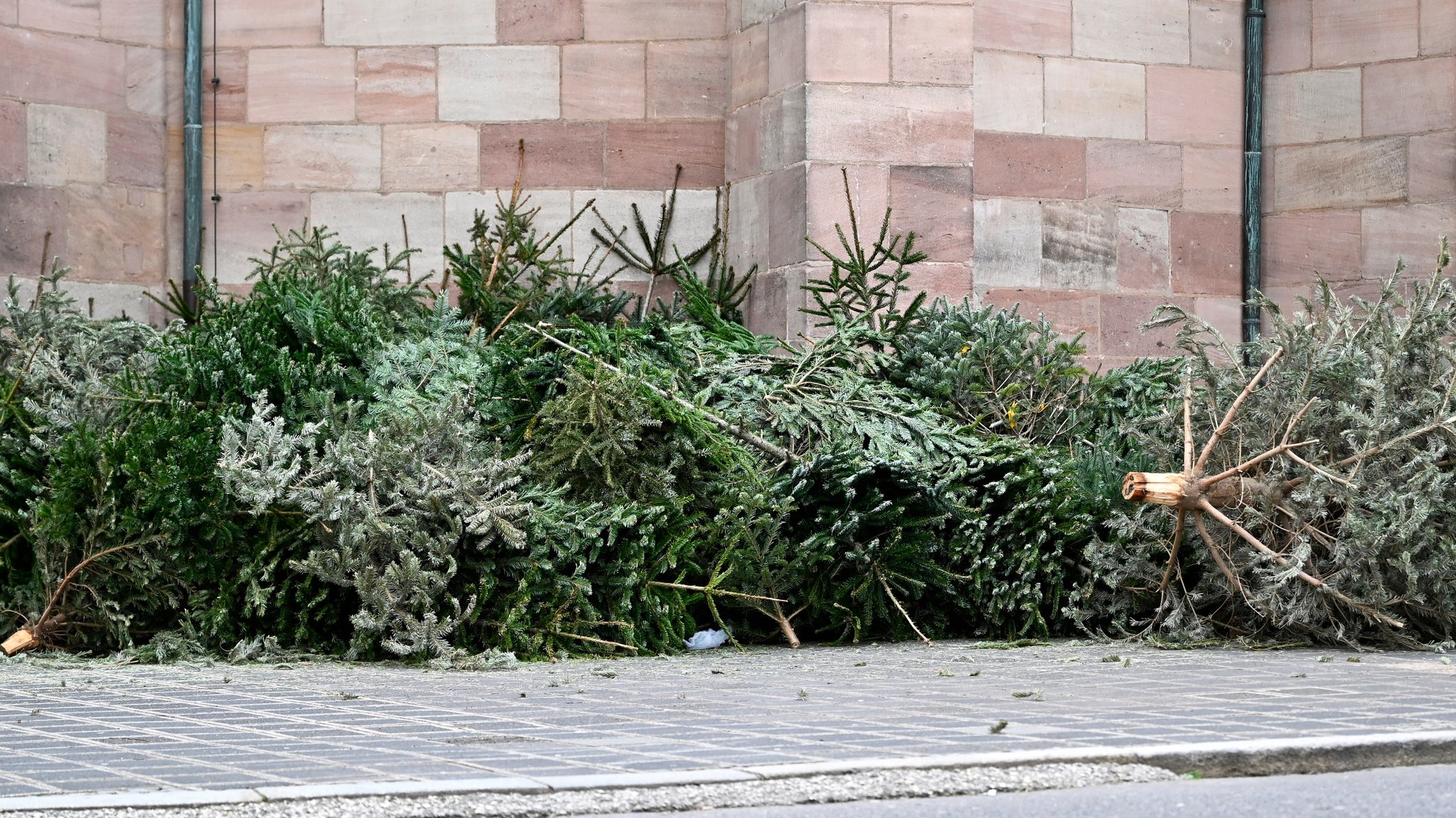 Weihnachtsbaum entsorgen: Was erlaubt ist und was nicht