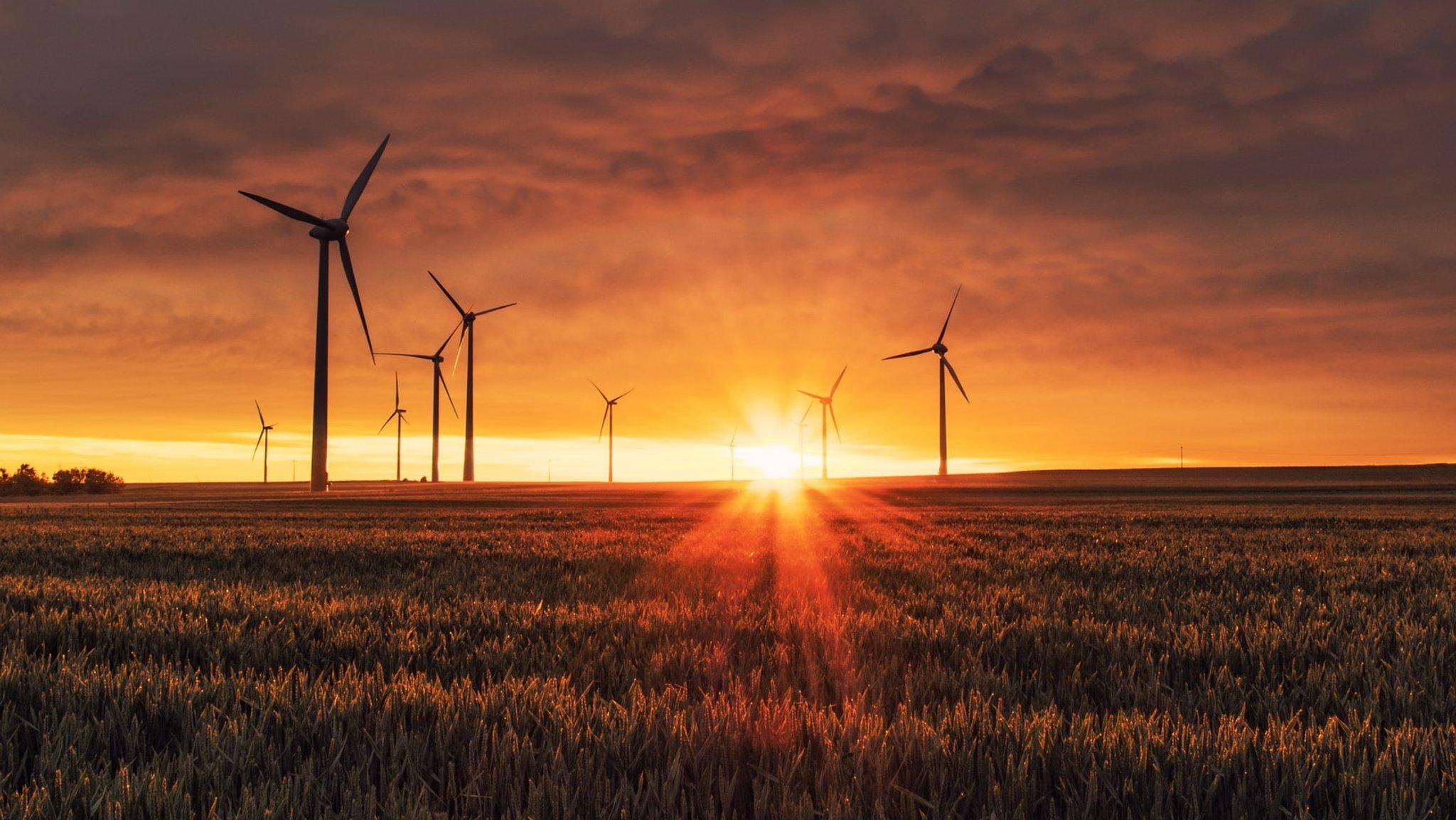 Windräder vor einem Sonnenuntergang (Symbolbild)