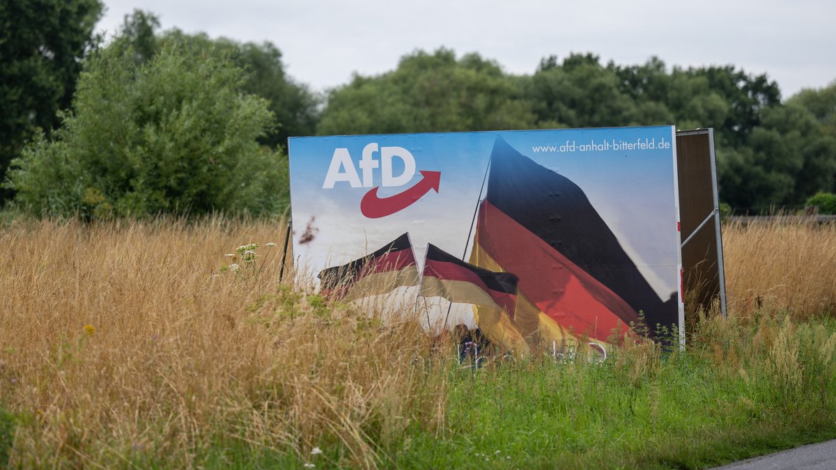 Ein großes Wahlplakat im hohen trockenen Gras neben einer Straße. (Symbolbild)