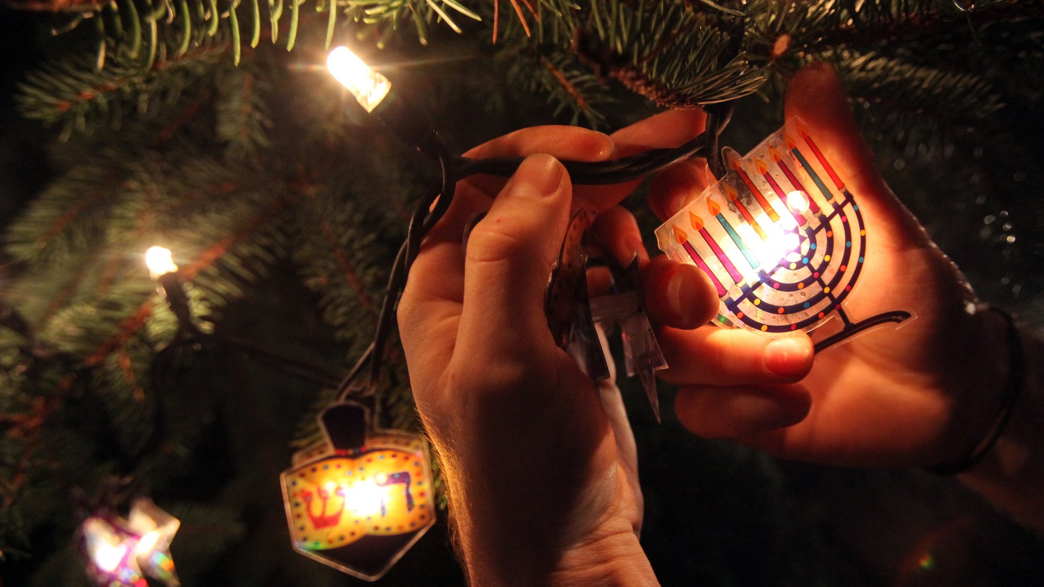 Der Geschäftsführer des Café Leonar, Arnold Simmenauer, schmückt am Mittwoch (21.12.2011) vor seinem Cafe in Hamburg einen "Weihnukkah"-Tannenbaum mit jüdischem Weihnachtsschmuck. Bereits im ausgehenden 19. Jahrhundert hat es nach Aussage der Leiterin des Jüdischen Museums Berlin Familien gegeben, die Weihnachten und Chanukka feierten. Daraus sei der Begriff "Weihnukkah" entstanden | Bild: picture alliance / dpa | Bodo Marks Der Geschäftsführer des Café Leonar, Arnold Simmenauer, schmückt am Mittwoch (21.12.2011) vor seinem Cafe in Hamburg einen "Weihnukkah"-Tannenbaum mit jüdischem Weihnachtsschmuck. Bereits im ausgehenden 19. Jahrhundert hat es nach Aussage der Leiterin des Jüdischen Museums Berlin Familien gegeben, die Weihnachten und Chanukka feierten. Daraus sei der Begriff "Weihnukkah" entstanden