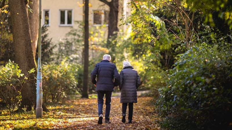 Ein älteres Ehepaar auf einem Spaziergang durch einen Park | Bild: picture alliance / photothek.de | Amrei Schulz Ein älteres Ehepaar auf einem Spaziergang durch einen Park