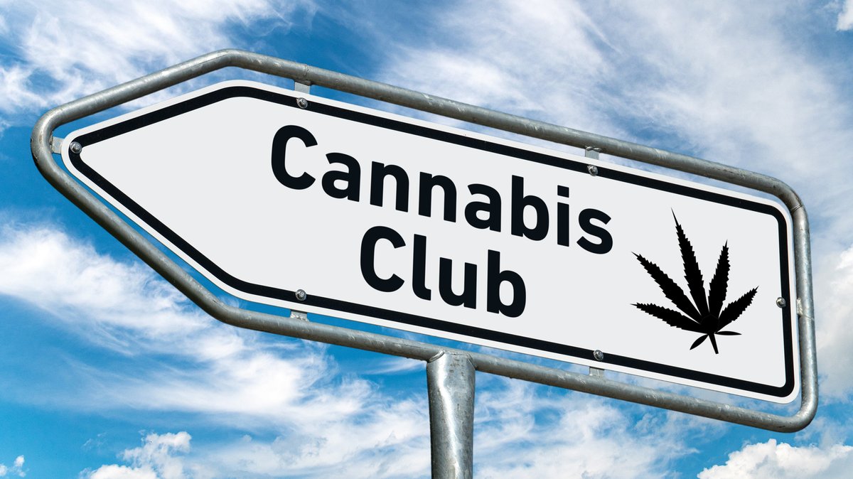 Ein weißes Verkehrsschild auf dem in schwarz das Wort Cannabis Club steht und ein Hanfblatt zu sehen ist. 