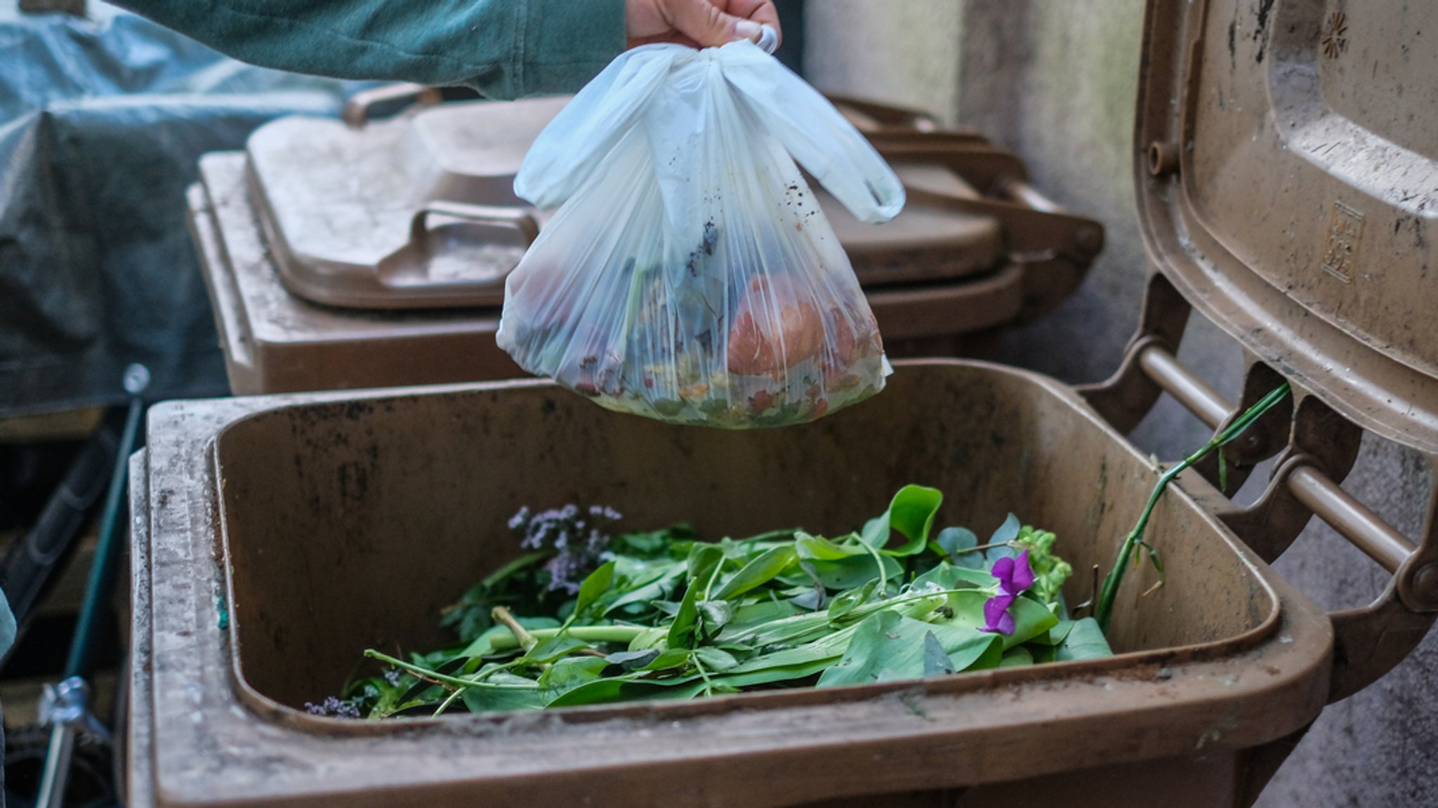Eine Person wirft einen Biomüllsack in die Bio-Tonne.