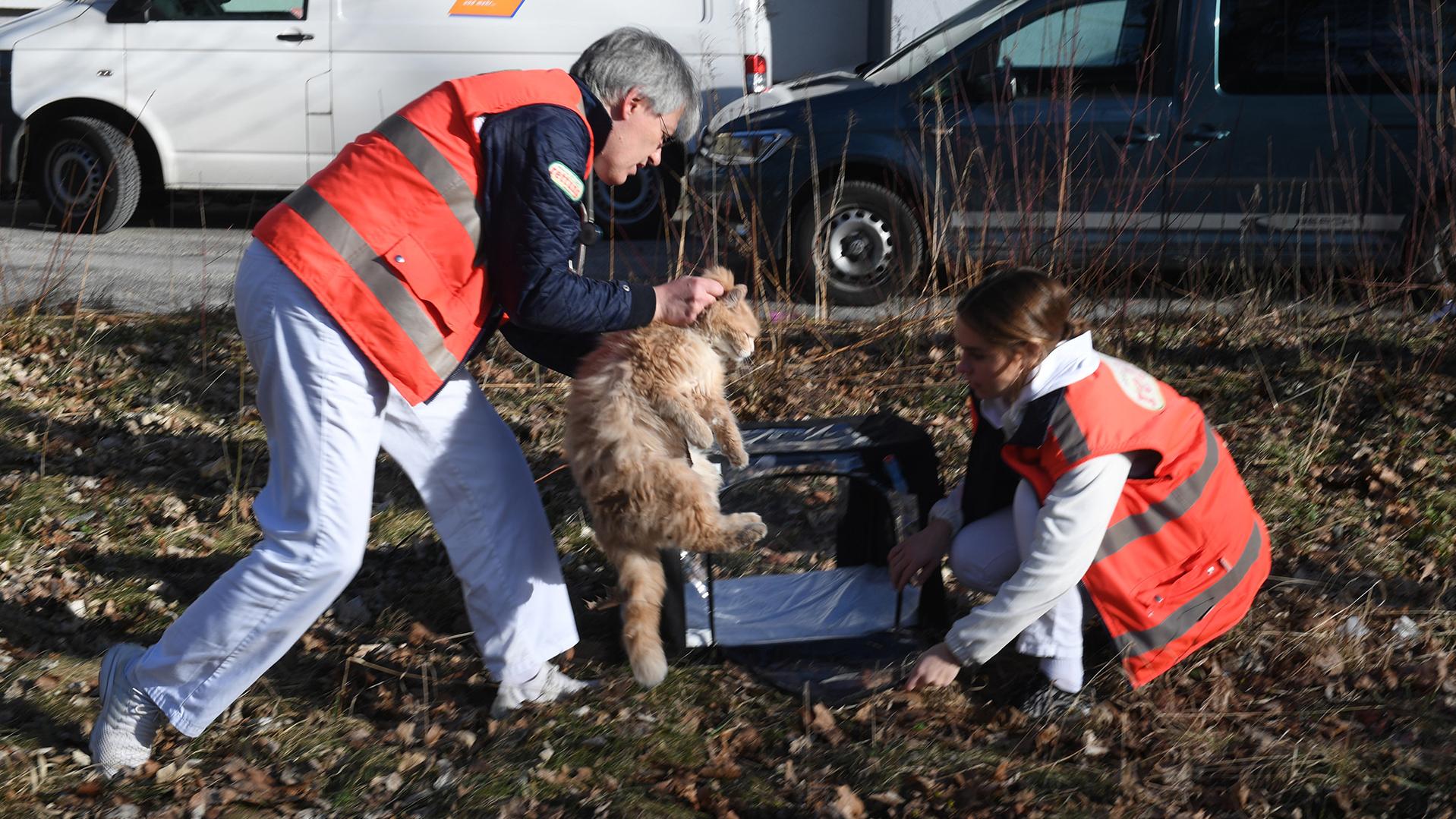 Unterwegs Mit Der Münchner Tierrettung Katzen Und Hunde In