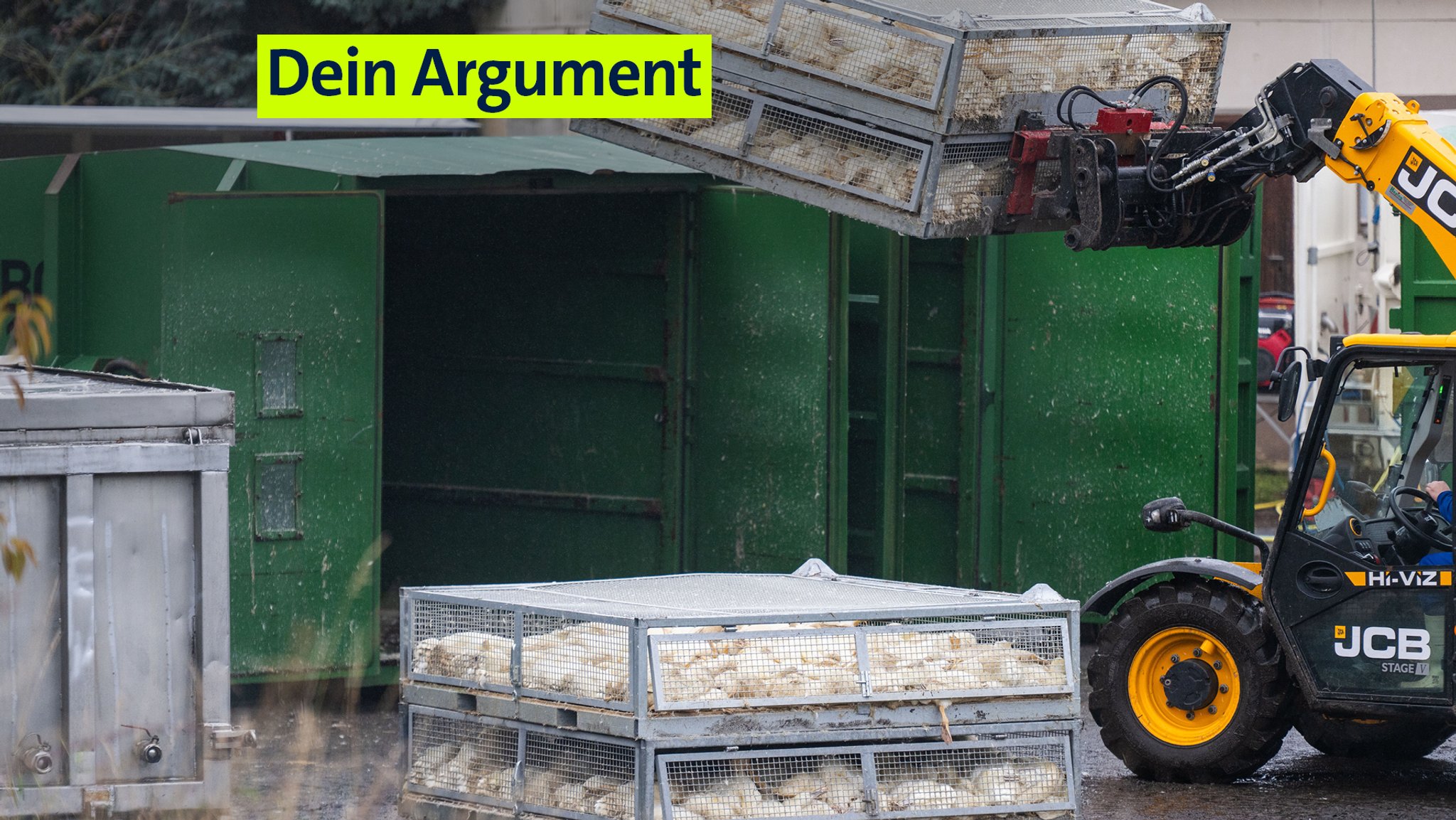 Vogelgrippe: Tausende getötete Tiere nicht mehr verwertbar