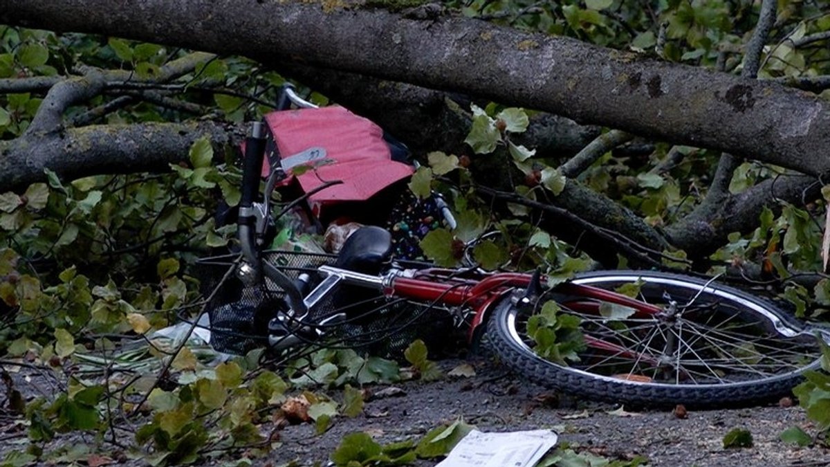 Ein Fahrrad liegt im Würzburger Ringpark unter einem umgefallenen Baum