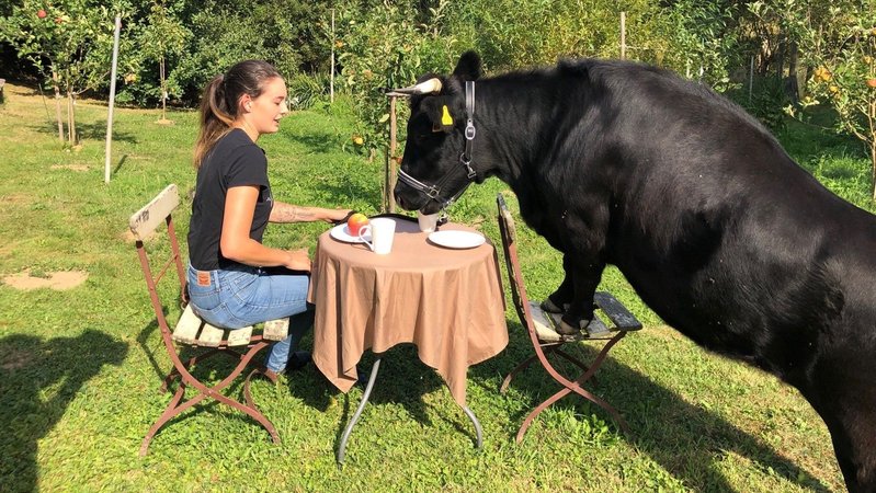 Die 20-jährige Lisa Marie Schüßler sitzt zusammen mit einem Dexter Mini-Rind am Tisch im Garten