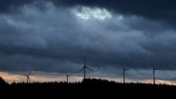 Zu sehen ist ein Windpark in Aitrang im Allgäu unter Regenwolken. | Bild:dpa-Bildfunk/Karl-Josef Hildenbrand