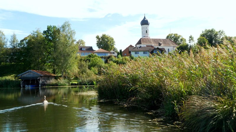 Bayerns Seen im Klimawandel: Forscher beklagt "McDonaldisierung"