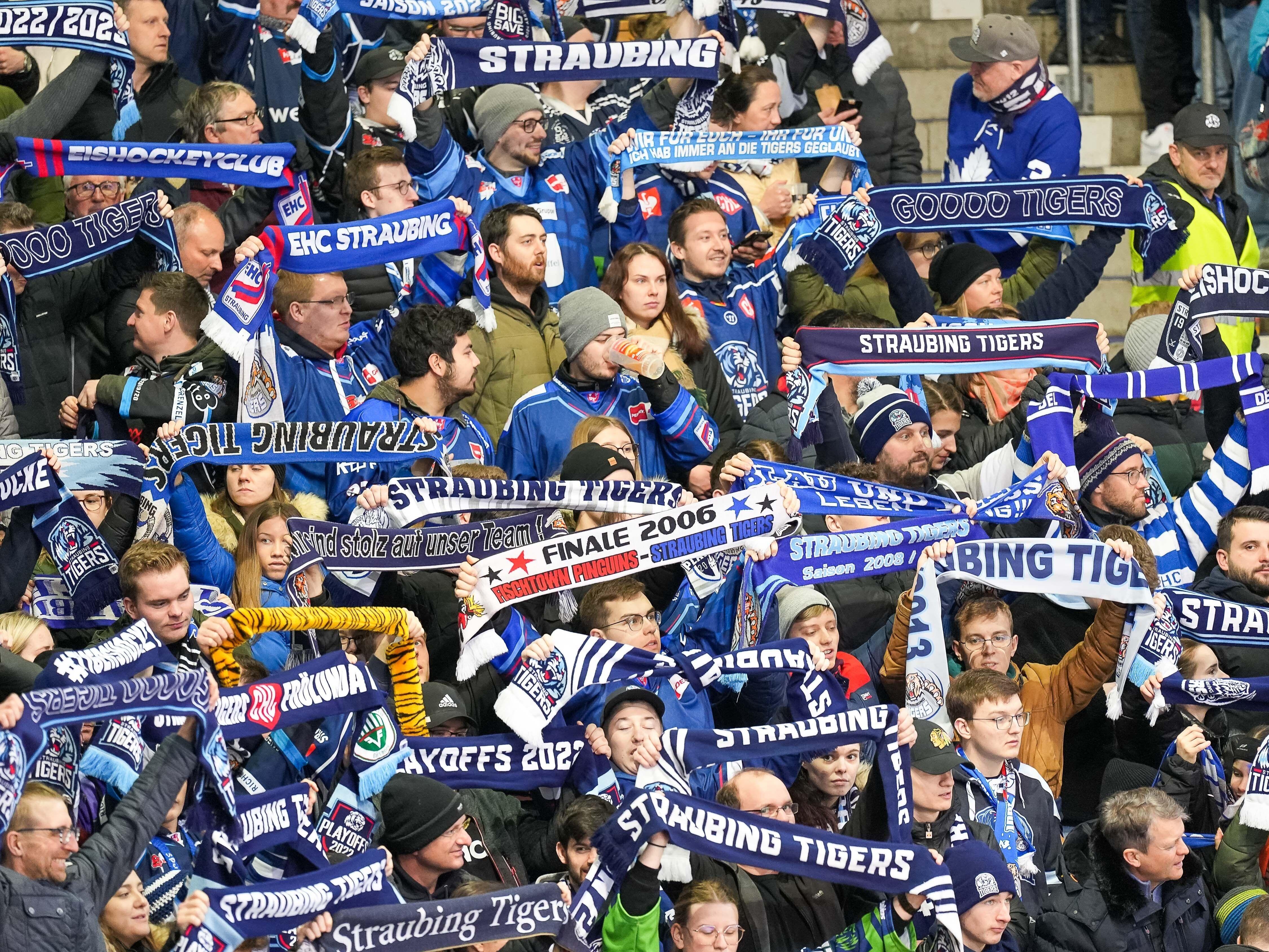 Eishockey-Fans halten Schals in die Höhe