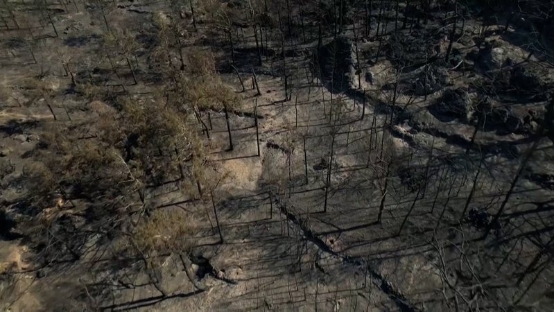 In Griechenland und der Türkei kämpfen Einsatzkräfte gegen anhaltende Waldbrände. | Bild: Bayerischer Rundfunk 2025 In Griechenland und der Türkei kämpfen Einsatzkräfte gegen anhaltende Waldbrände.