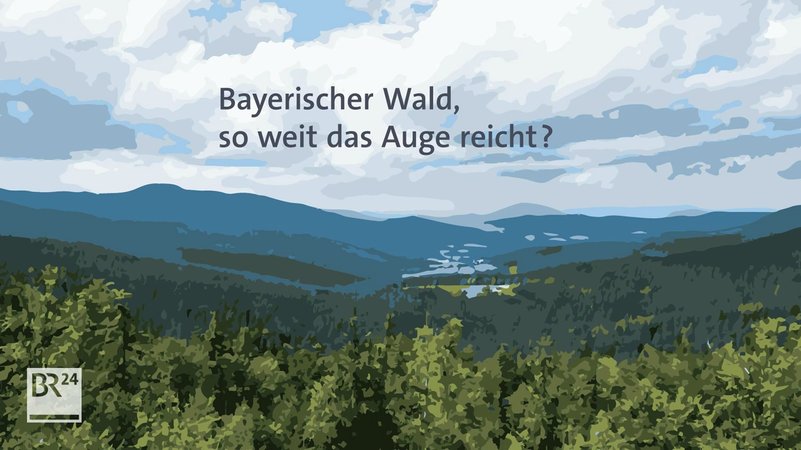 Aufforstung in Bayern. Wo sollen die neuen Bäume hin?