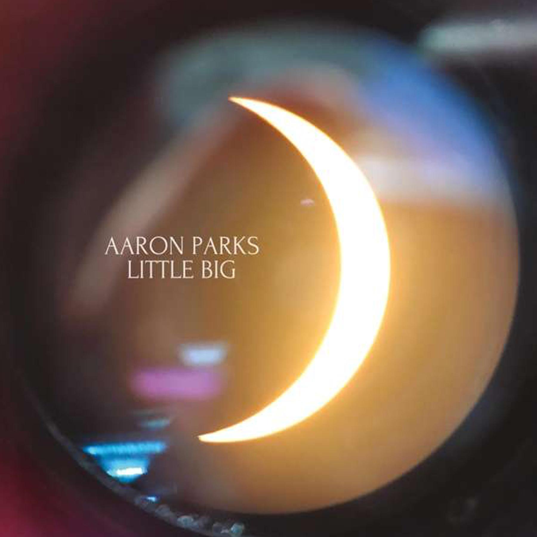 "Little Big" von Aaron Parks