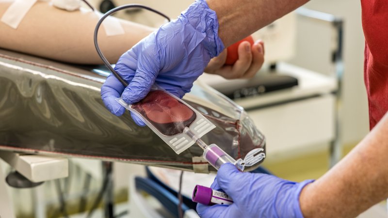 Blut wird für einen Test von einer Blutspende abgenommen. | Bild: picture alliance/dpa | Frank Hammerschmidt Blut wird für einen Test von einer Blutspende abgenommen.