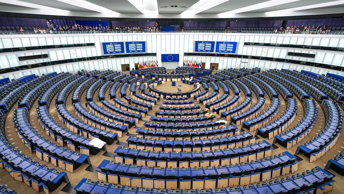 Europaparlament: AfD aus Rechtsaußen-Fraktion ausgeschlossen