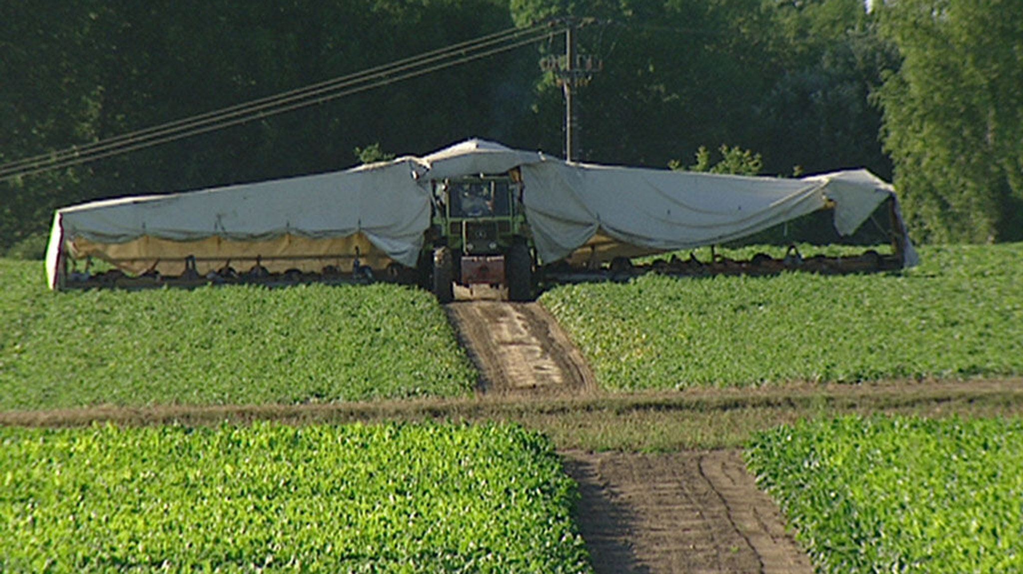 Der Gurkenflieger ist ein Gerät zum Ernten von Gurken. Er besteht aus einem Traktor, Lastwagen oder Anhänger, an dem an beiden Seiten zwei bis zu 15 Meter lange, tragflächenartige Plattformen aufgehängt sind. Auf diesen Tragflächen liegen die Erntehelfer und pflücken die Gurken per Hand.