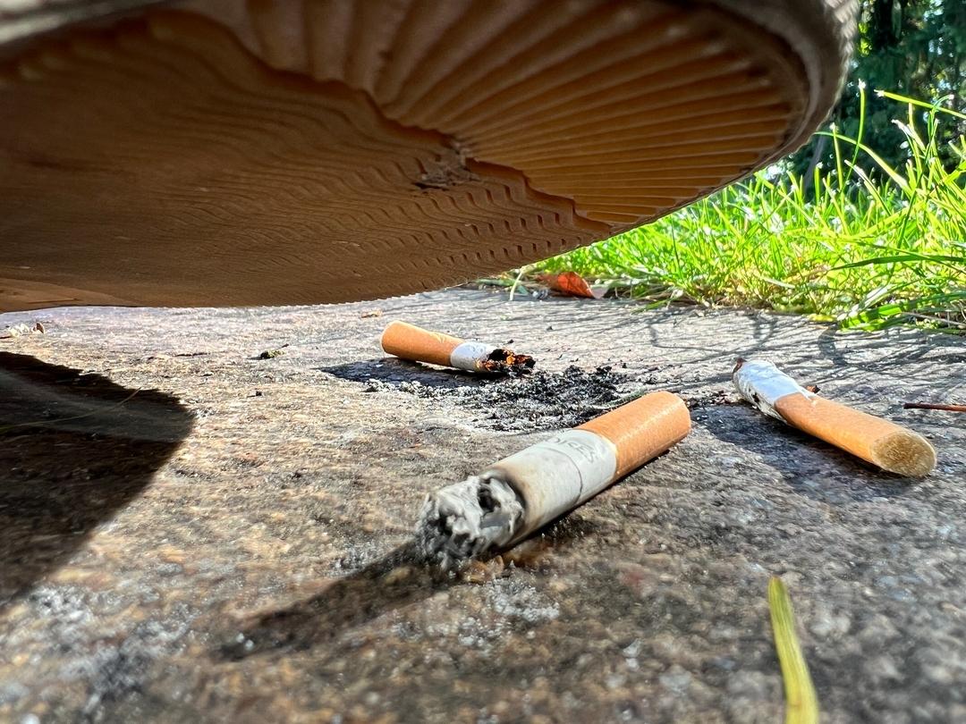 Zigarettenstummel liegen am Boden.