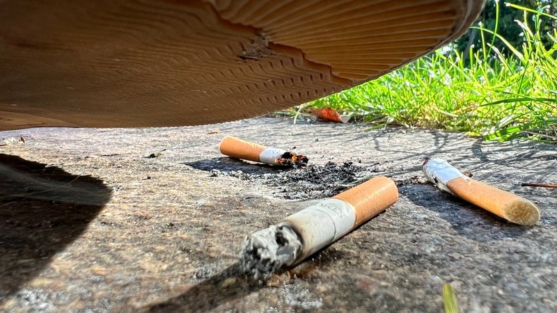 Zigarettenstummel liegen am Boden. | Bild: BR/Bernd Nitsche Zigarettenstummel liegen am Boden.