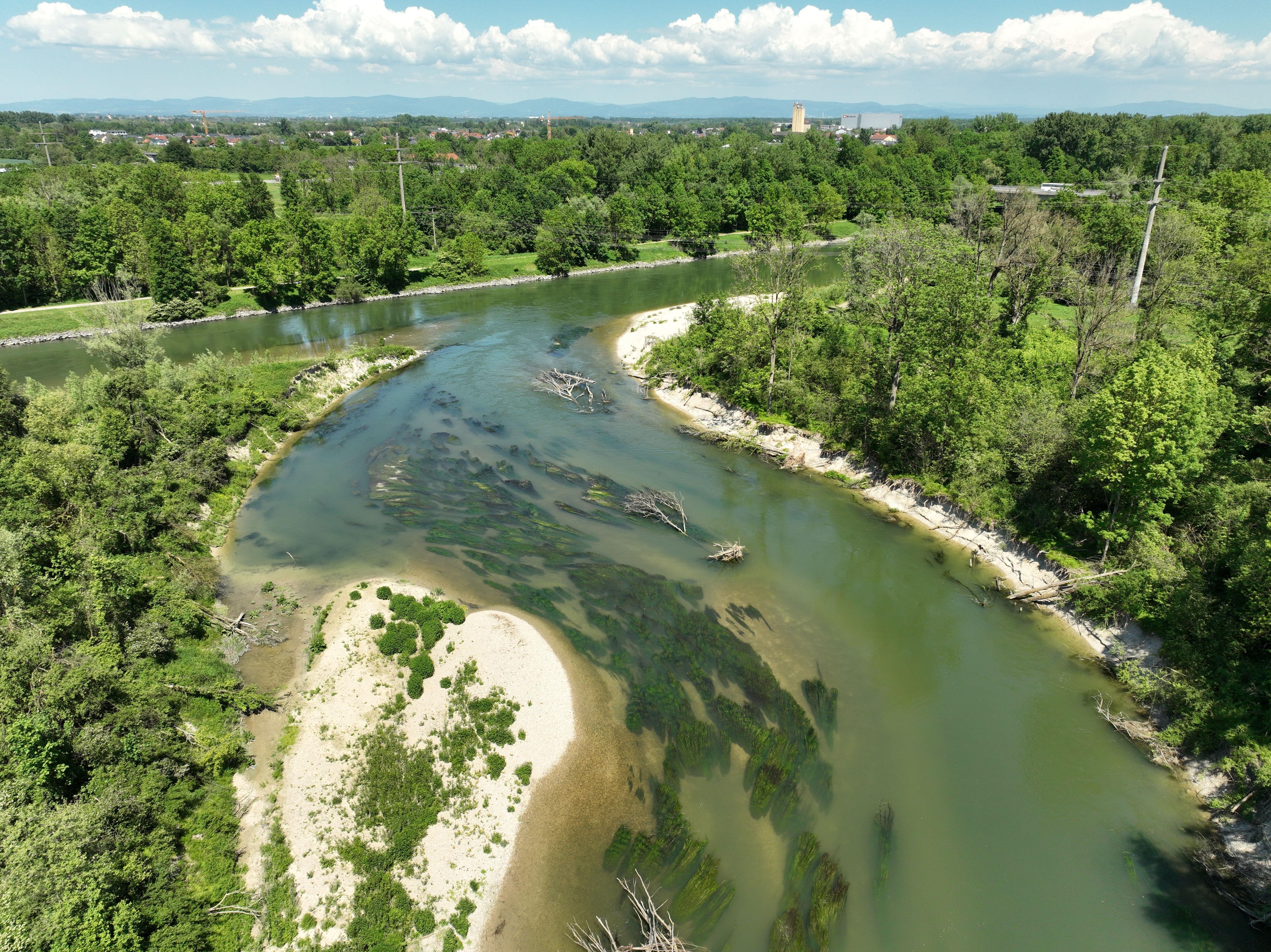 Die wilde Isar bei Landau von oben