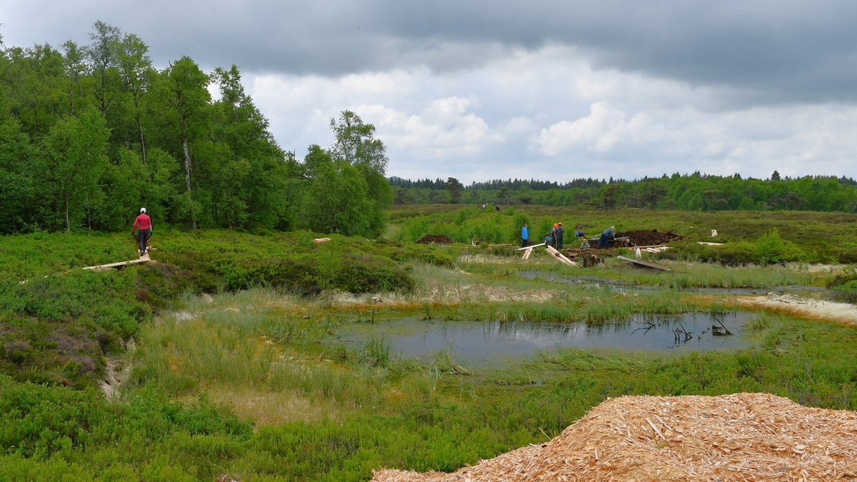 Ehrenamtliche des Bergwaldprojekts sind seit Anfang Juni im Einsatz.