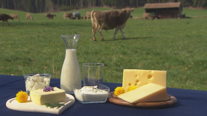 Wie gesund ist Milch? Wissenschaftler haben BMMFs in Milch und Rindfleisch entdeckt, die auch bei Krebskranken gefunden wurden.