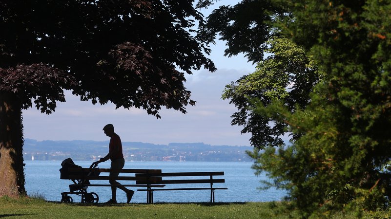 Ein Mann schiebt bei sonnigem Wetter einen Kinderwagen | Bild: picture alliance/dpa | Karl-Josef Hildenbrand Ein Mann schiebt bei sonnigem Wetter einen Kinderwagen