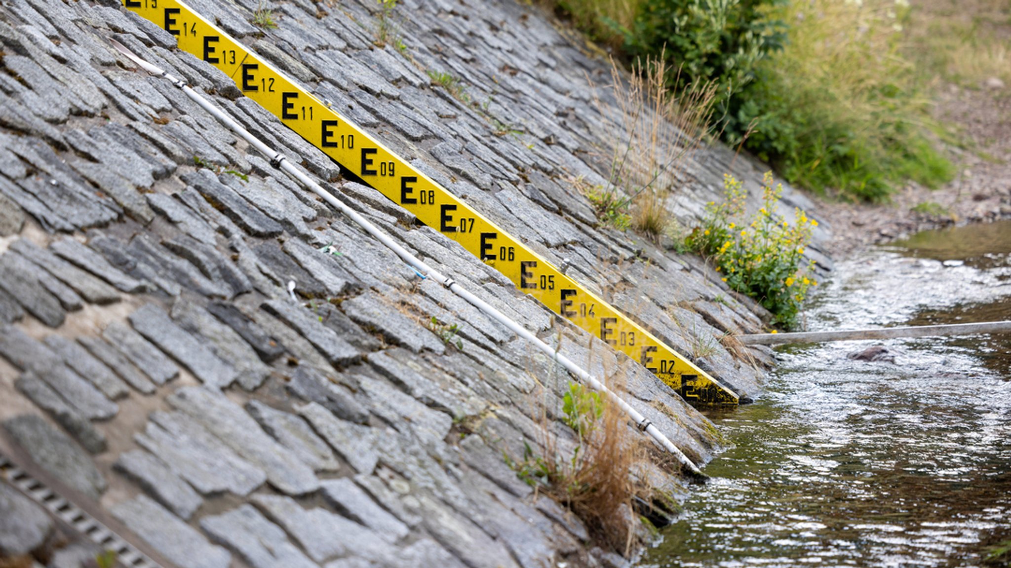 niedrige Flusspegel | Bild: dpa-Bildfunk/Michael Reichel niedrige Flusspegel
