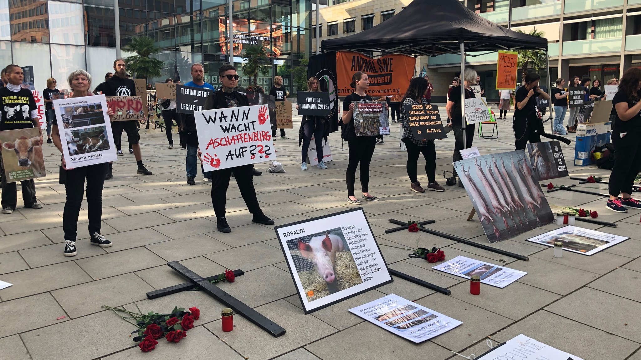 Tierschützer demonstrieren vor dem Aschaffenburger Rathaus.