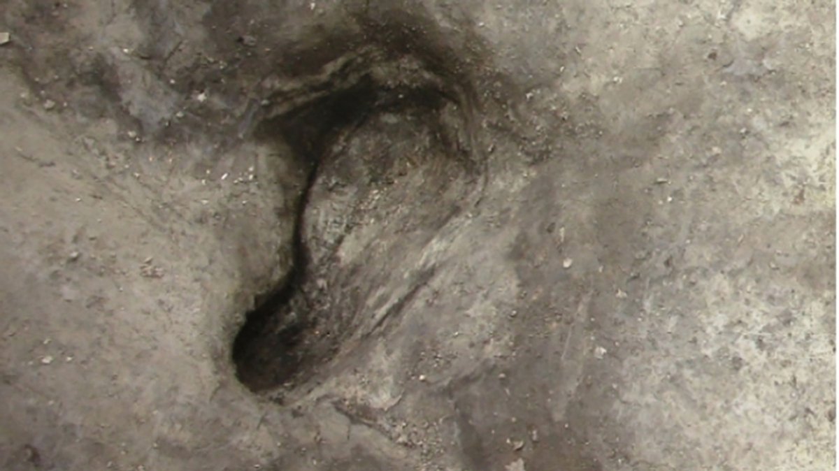 In Niedersachsen hat ein Forscherteam die vermutlich ältesten bekannten Fußspuren von Urmenschen in Deutschland entdeckt.