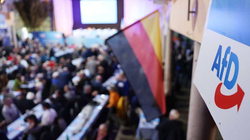 Parteitag der AfD in Greding (Archivbild) | Bild: pa/dpa/Daniel Löb Parteitag der AfD in Greding (Archivbild)