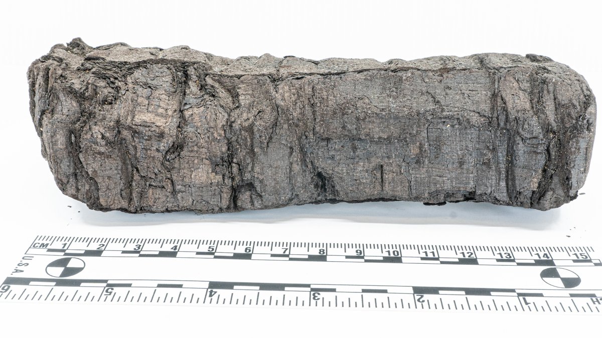 Challenges: Wissenschaftliche Probleme im Eiltempo lösen