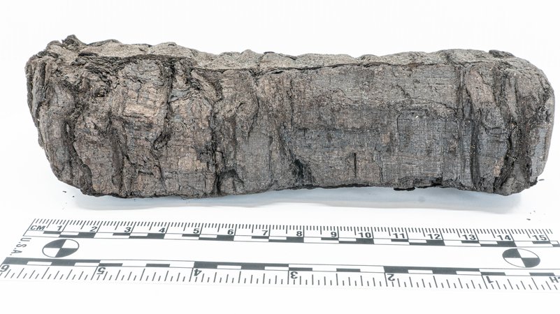 Verkohlte Schriftrolle von 79 n. Chr. | Bild: Vesuvius Challenge 2025 Verkohlte Schriftrolle von 79 n. Chr.