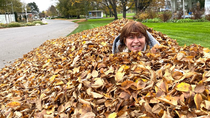 Querbeet-Expertin Sabrina Nitsche schaut nur noch mit dem Kopf aus einem großen Laubhaufen hervor. | Bild: BR Querbeet-Expertin Sabrina Nitsche schaut nur noch mit dem Kopf aus einem großen Laubhaufen hervor.