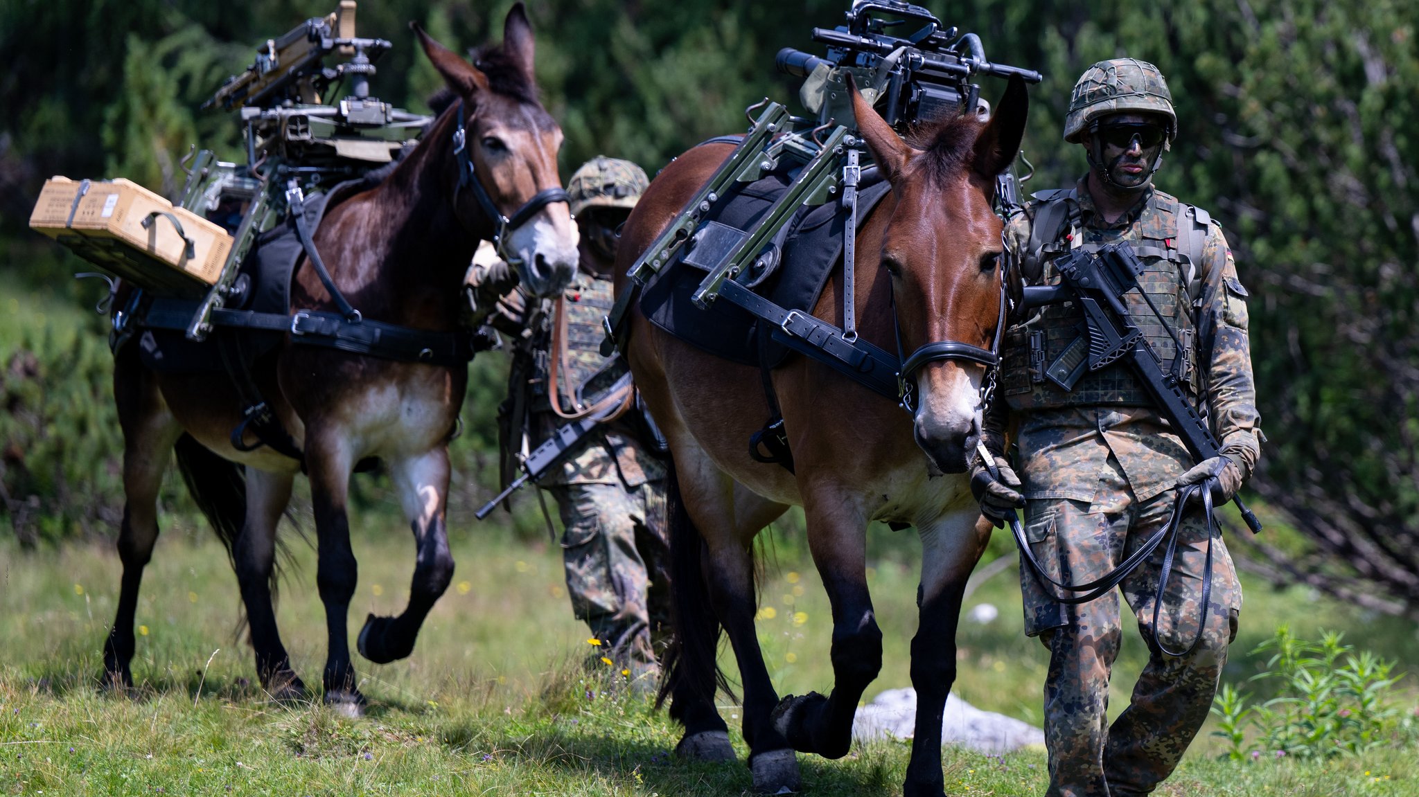 Soldaten der Hochstaufen-Kaserne in Bad Reichenhall mit Mulis beim Training