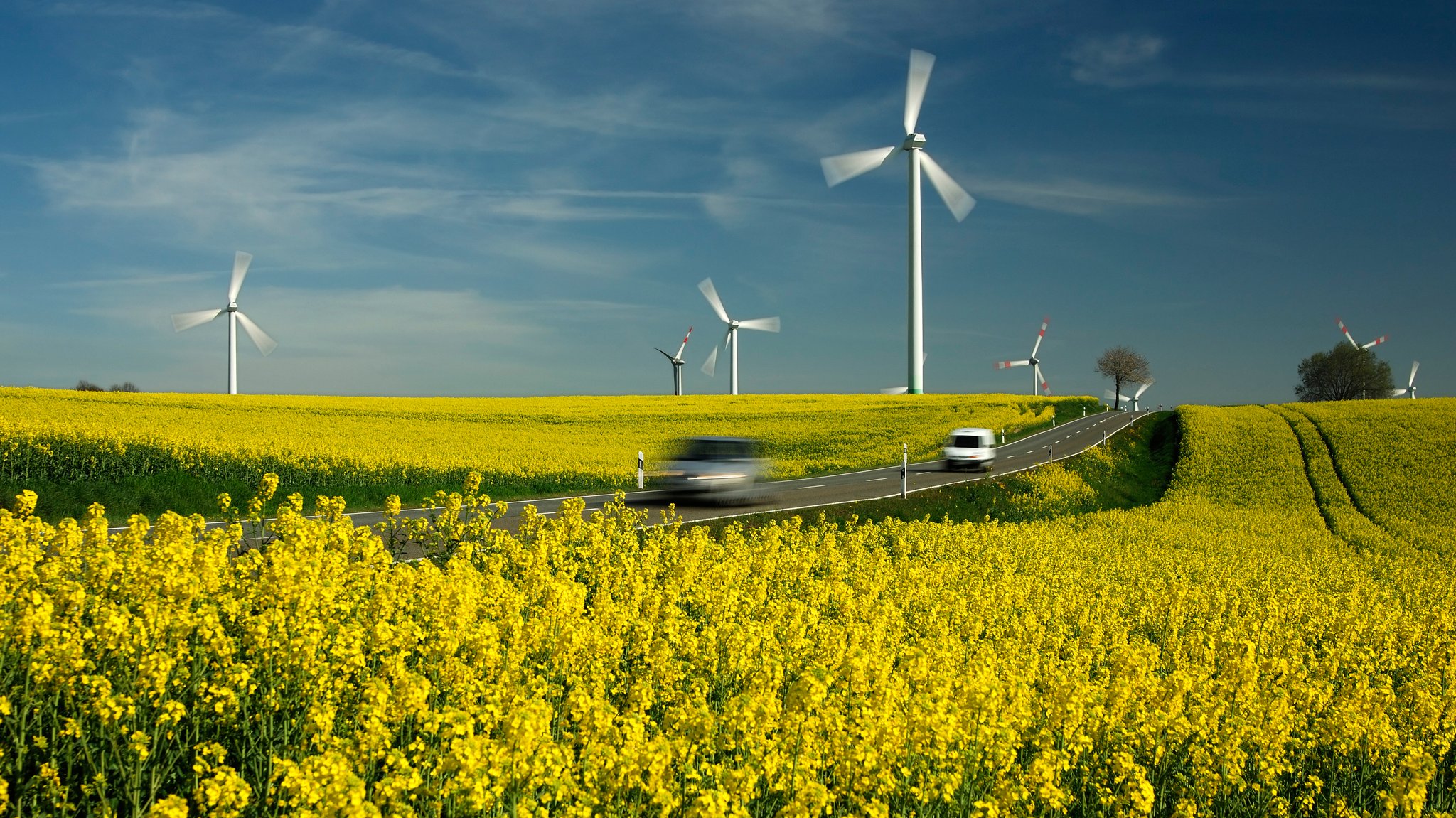 Blühende Rapsfelder, eine Straße mit Autos und Windkraftanlagen