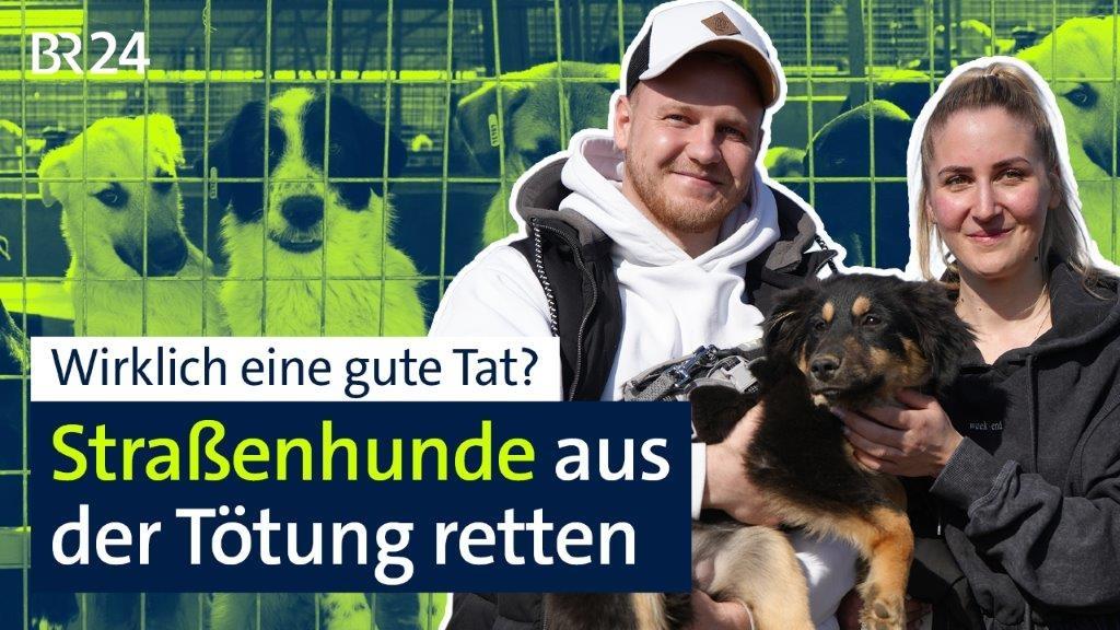 Ein Mann und eine Frau halten einen Hund auf den Armen.